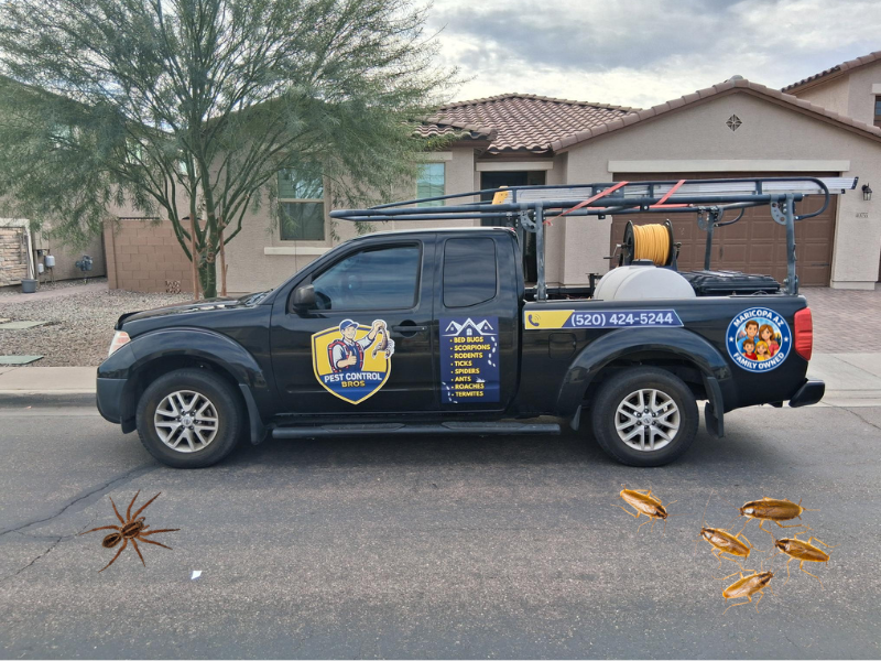 20% OFF 1st Every 2 Month SERVICE