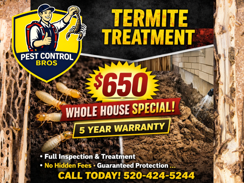 Termite Treatment Whole House 