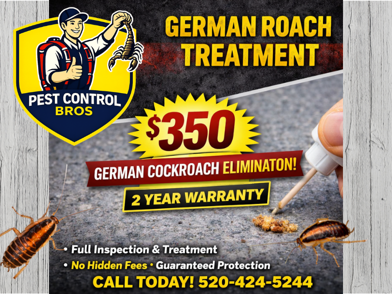 German Cockroach Control